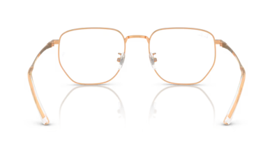 Ray-Ban 8776D